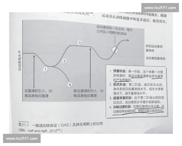 体育科学视角下运动表现优化与健康促进研究探索
